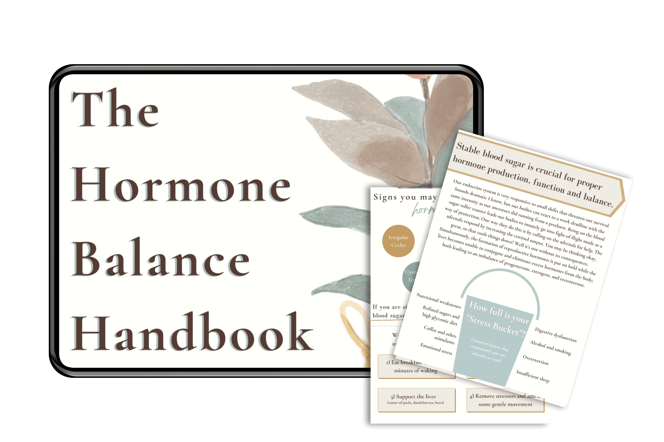 Free hormone balance handbook